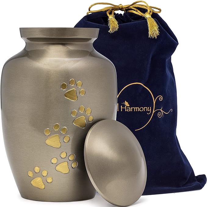 Dogs and Cats Urn with Beautiful Velvet Bag (Silver, Medium)