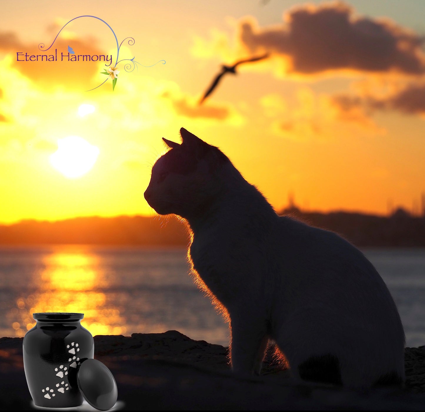 Dogs and Cat Urns with Beautiful Velvet Bag (Black, 6 Inches)